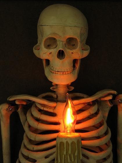 "Framed 3D Skeleton Torso Holding Candle" Hanging Haunted House Decoration
