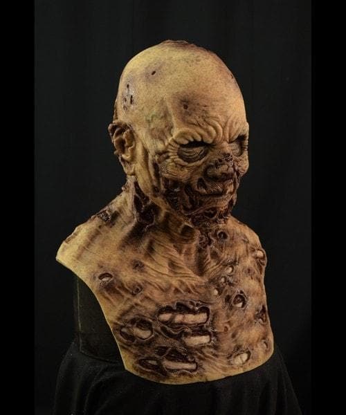 https://www.thehorrordome.com/cdn/shop/products/graveborn-the-zombie-silicone-halloween-mask-20357911105.jpg?v=1651596054&width=1000