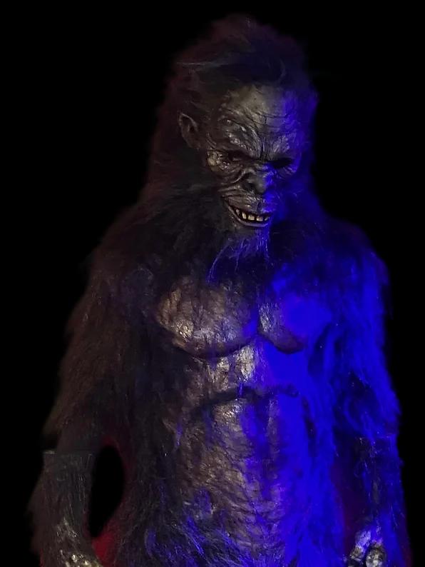 "Harry the Primate" Costume