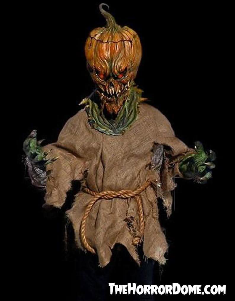 "Jack O'Lantern" HD Studios Night Terror Halloween Costume