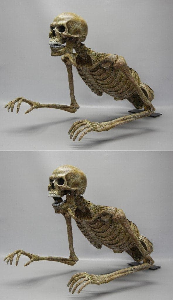 "Jaw Drop Peeper" Skeleton Halloween Animatronic