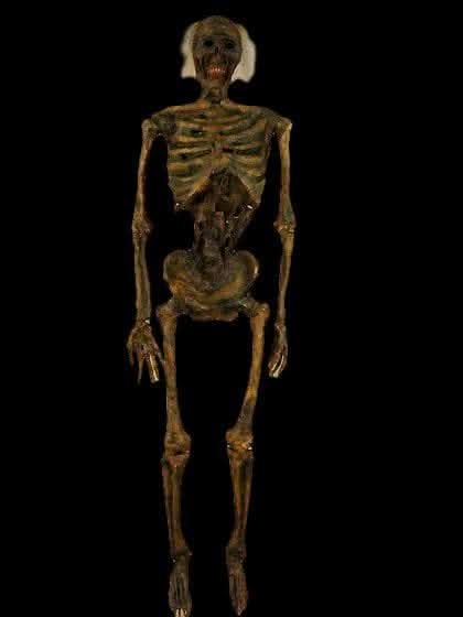 Life- Size Rotted Skeleton – The Horror Dome