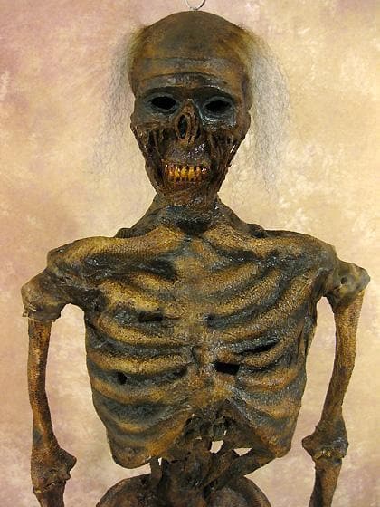 Life- Size Rotted Skeleton