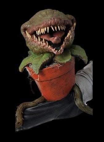 Eating Puppet