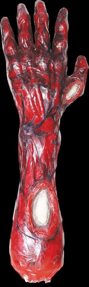 "Peeled Flesh - Left Arm" Human Body Part Halloween Prop