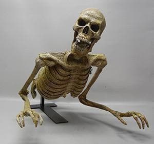 "Peeper" Skeleton Halloween Animatronic