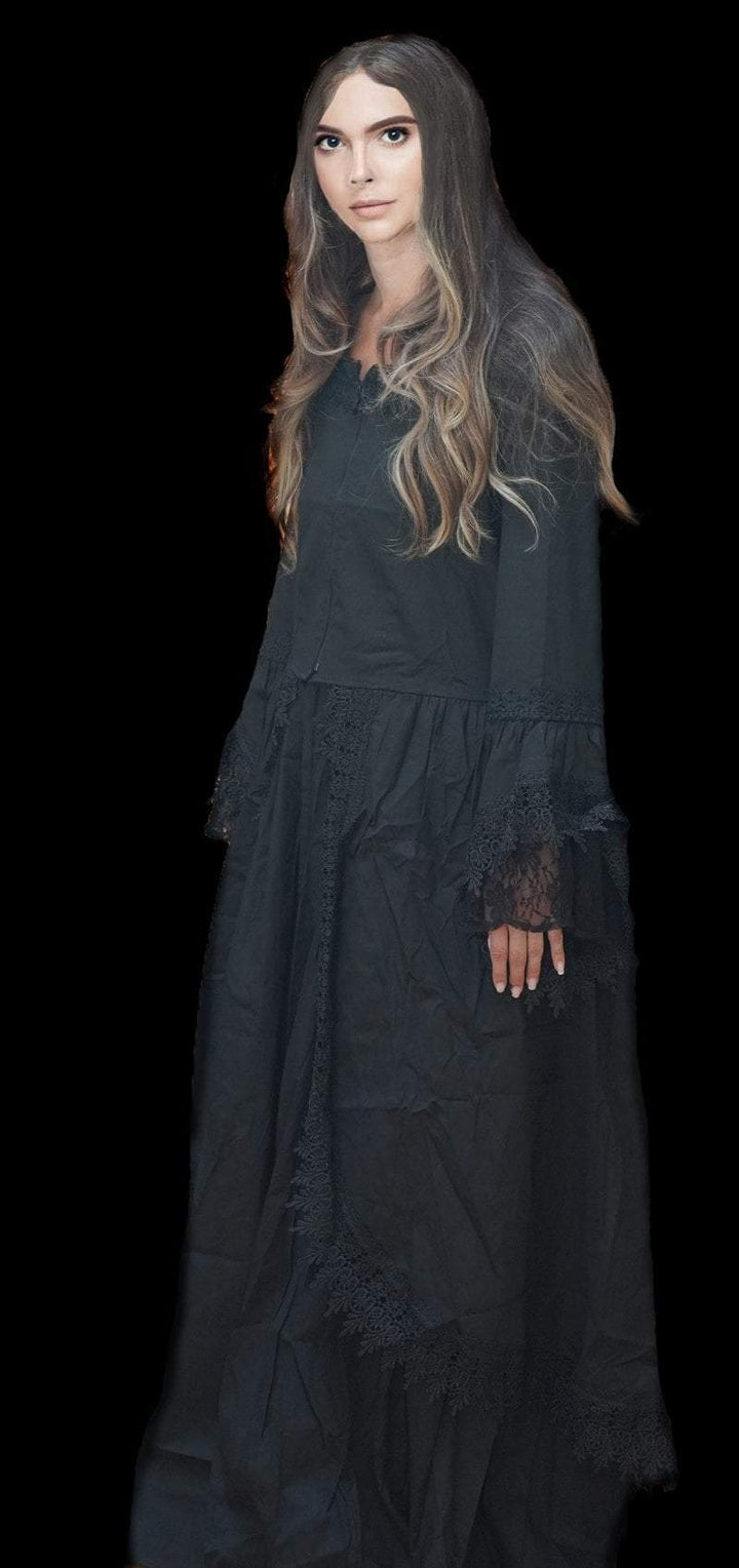 Professional Victorian Witch Dress - HD Studios Halloween Costume