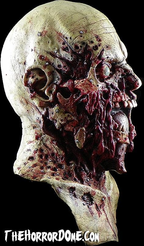 Detailed View of Road Kill Zombie's Torn Face and Smashed Jaw