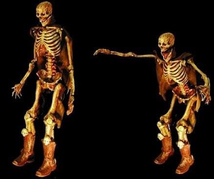 "The Jester" Skeleton Halloween Animatronic