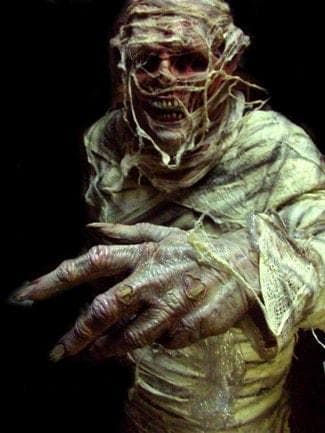 "The Mummy" Professional Halloween Costume