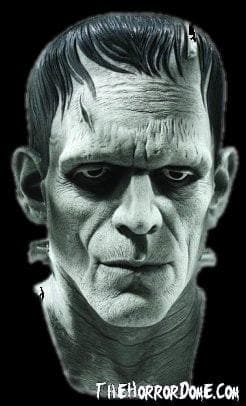 "Universal Studios Frankenstein" Halloween Mask