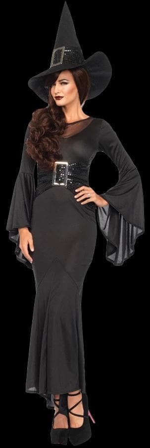 "Wickedly Sexy Witch" Women's Halloween Costume