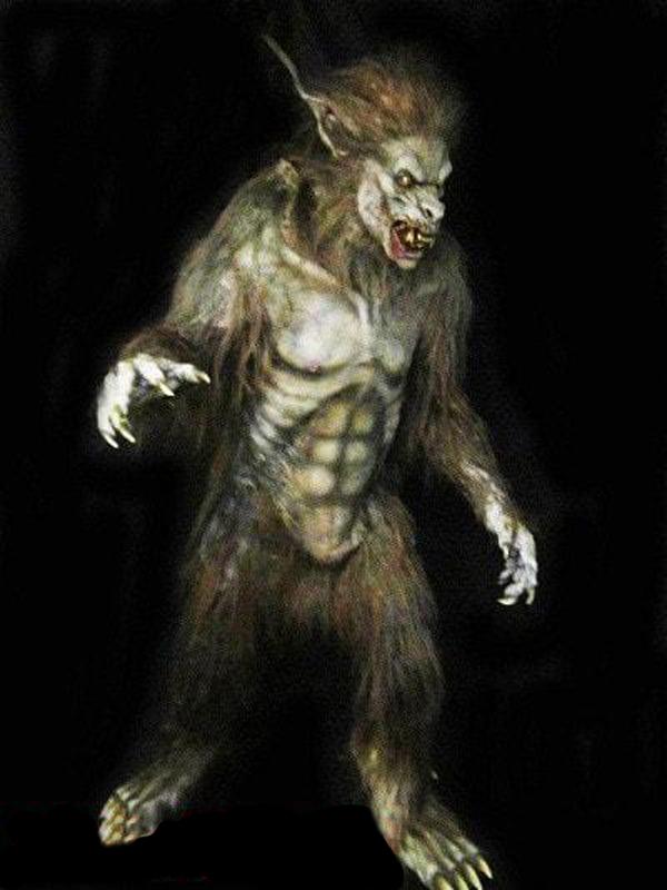 "Wolf Man" Professional Halloween Costume