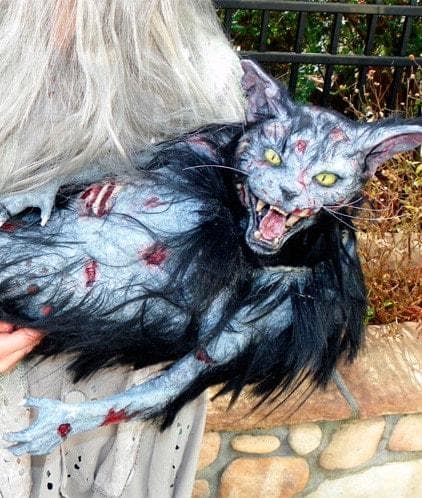 "Zombie Cat" HD Studios Halloween Puppet Prop